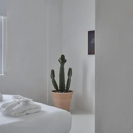 Penthouse Boutique - Acropolis Lycabettus View Atena